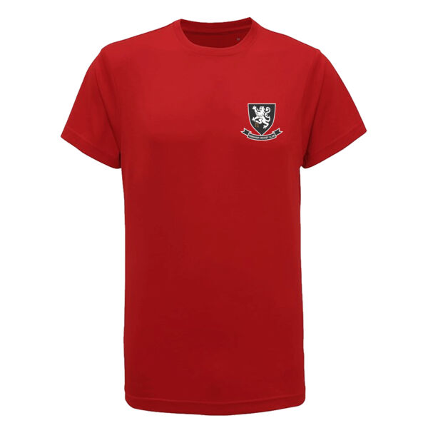 Away Match Shirt (Adult) Thumbnail