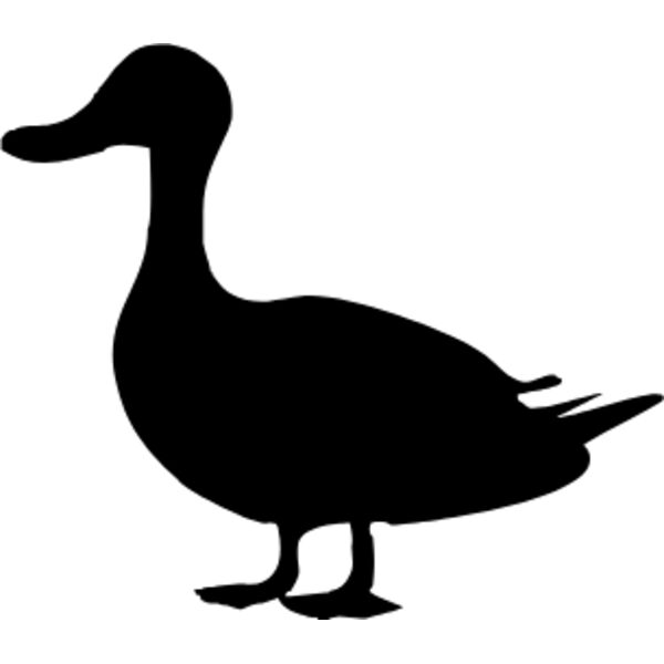 DUCK Thumbnail