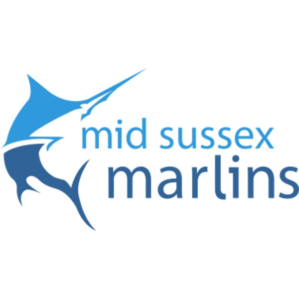 MSM Logo (Light) Thumbnail